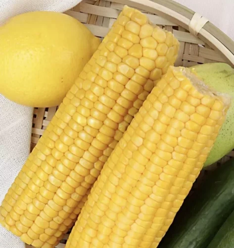 Click to view full screen Shiyue Daotian Glutinous Sticky Corn 十月稻田糯玉米 photo review