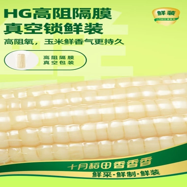 Shiyue Daotian Glutinous Sticky Corn 十月稻田糯玉米 - Image 3