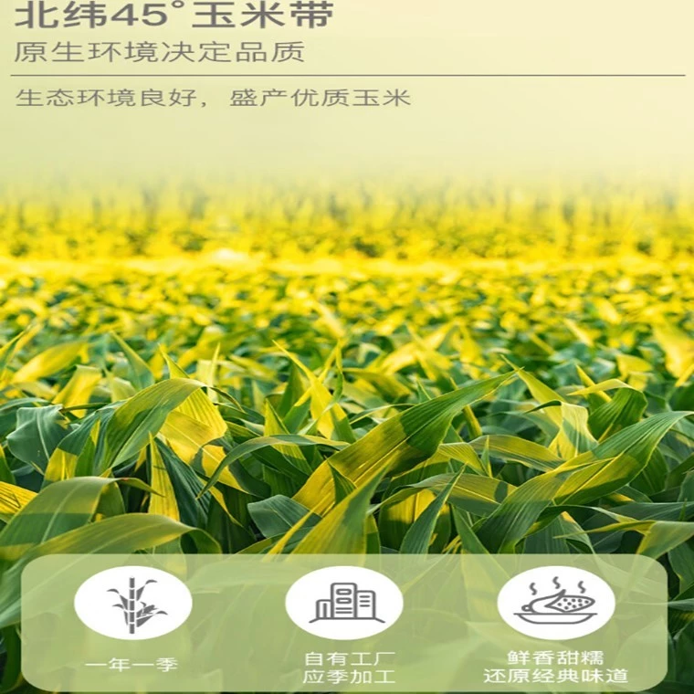 Shiyue Daotian Glutinous Sticky Corn 十月稻田糯玉米 - Image 6
